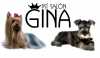 Psí salón Gina nabízí:
- stříhání psů, koupání, fénování, trimování
- střihy dle standardu, nebo podle přání klientů
- střihy přizpůsobené ročnímu období a momentálnímu stavu srsti psa
( letní i zimní délka střihu )
- rozčesávání dlouhosrstých plemen, rozčesávání zplstnatělé srsti
- poradenská činnost
- další služby spojené s úpravou psů (ošetření tlapek, krácení drápků, atp.) 
