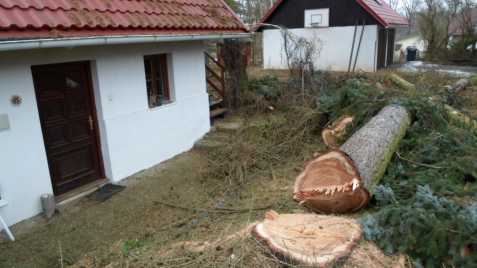 Kácení stromů Bystřice nad Pernš.