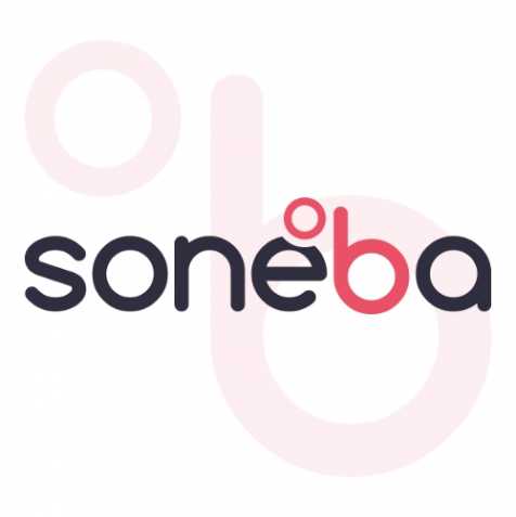 SONEBA – konsolidace, exekuce